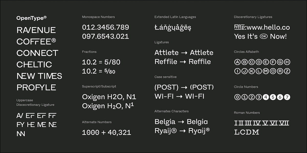 Fracktif, a Sans Serif Font by Degarism Studio (Photo 9 of 15)