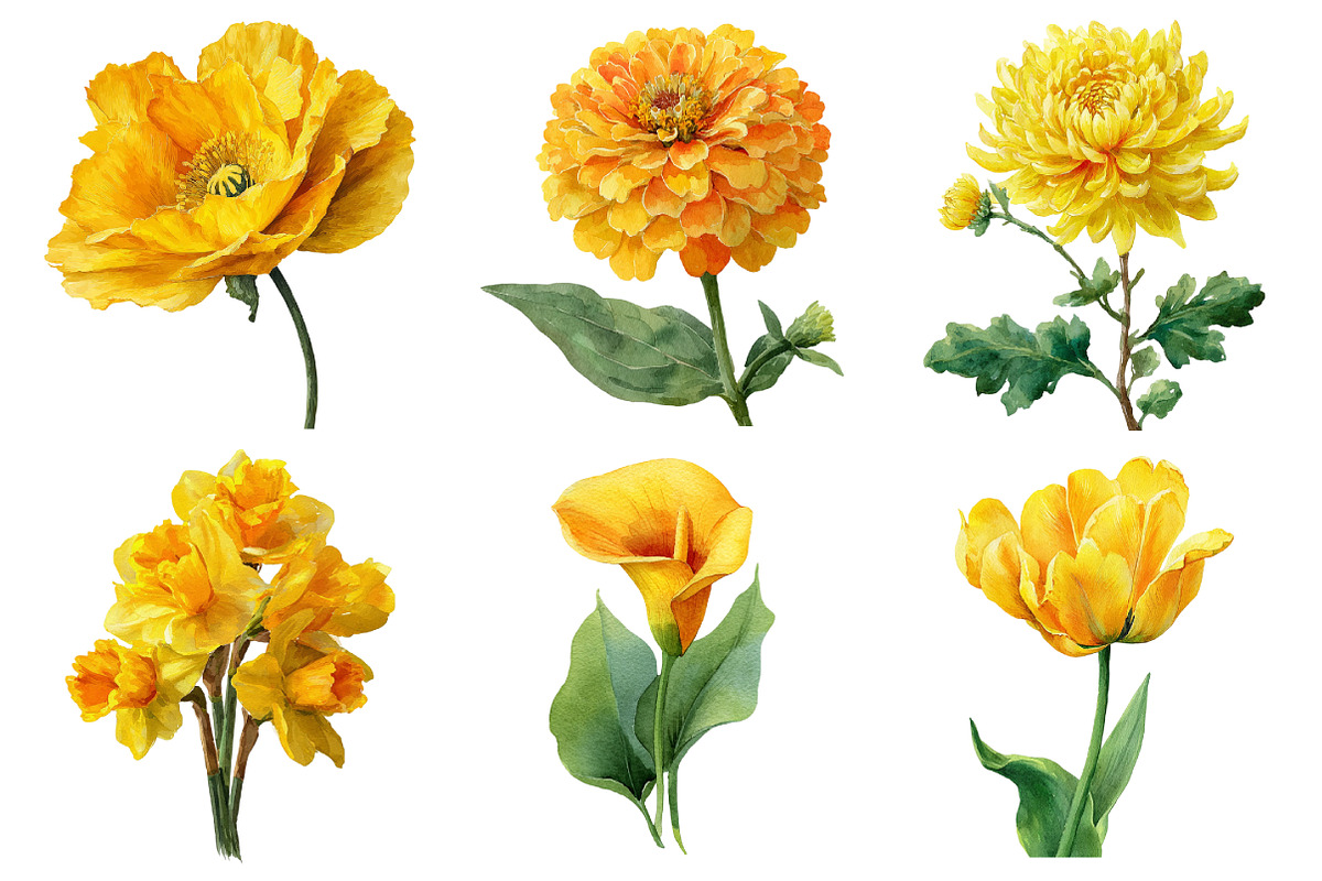 Watercolor Flower Clipart, an Illustration by Daily.Designs (Photo 2 of 5)