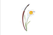 Vector object brushes. Daffodils, a Brush Add-On by Peolla (Thumbnail 2 of 11)