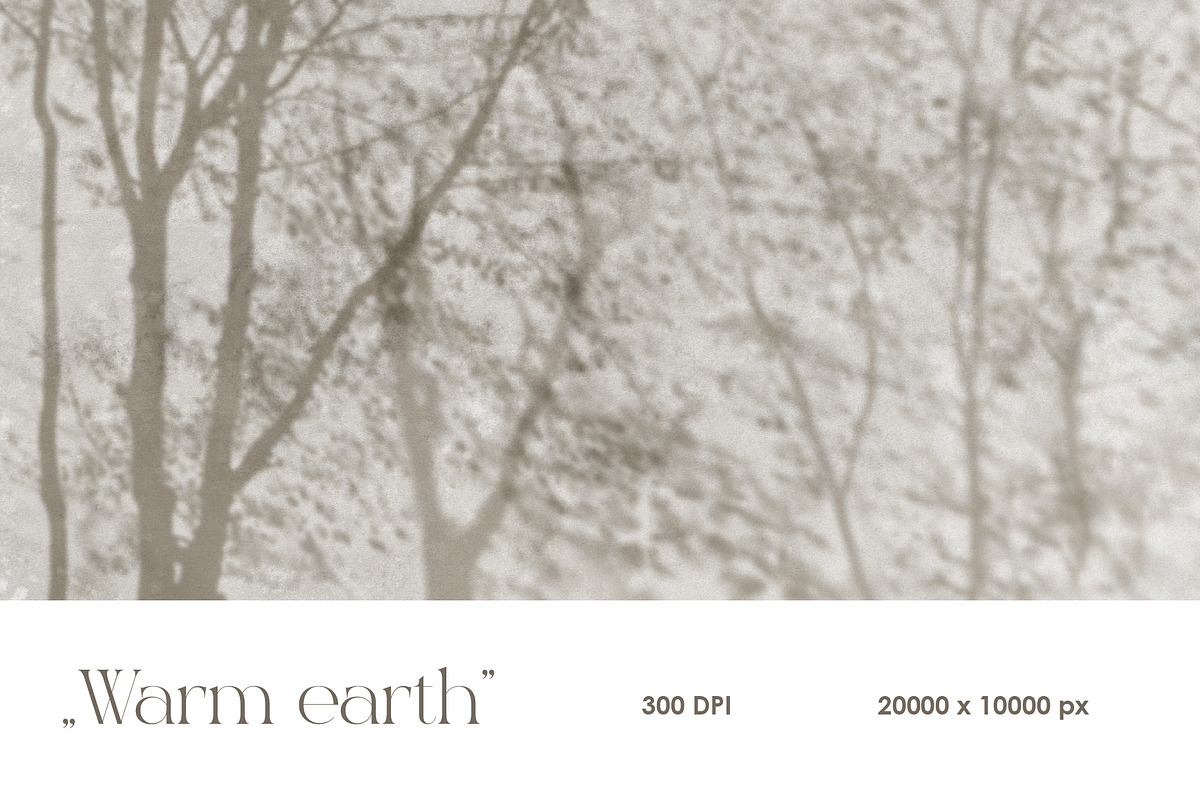 Shadows – wall mural collection, a Wallpaper Graphic by Timofi Art (Photo 8 of 17)