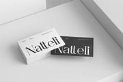 Oligha || Modern Classy Serif Font, a Serif Font by Ermedia Studio (Thumbnail 3 of 10)