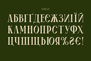 Boldness font / display serif font, a Serif Font by LETTER V studio (Thumbnail 5 of 8)