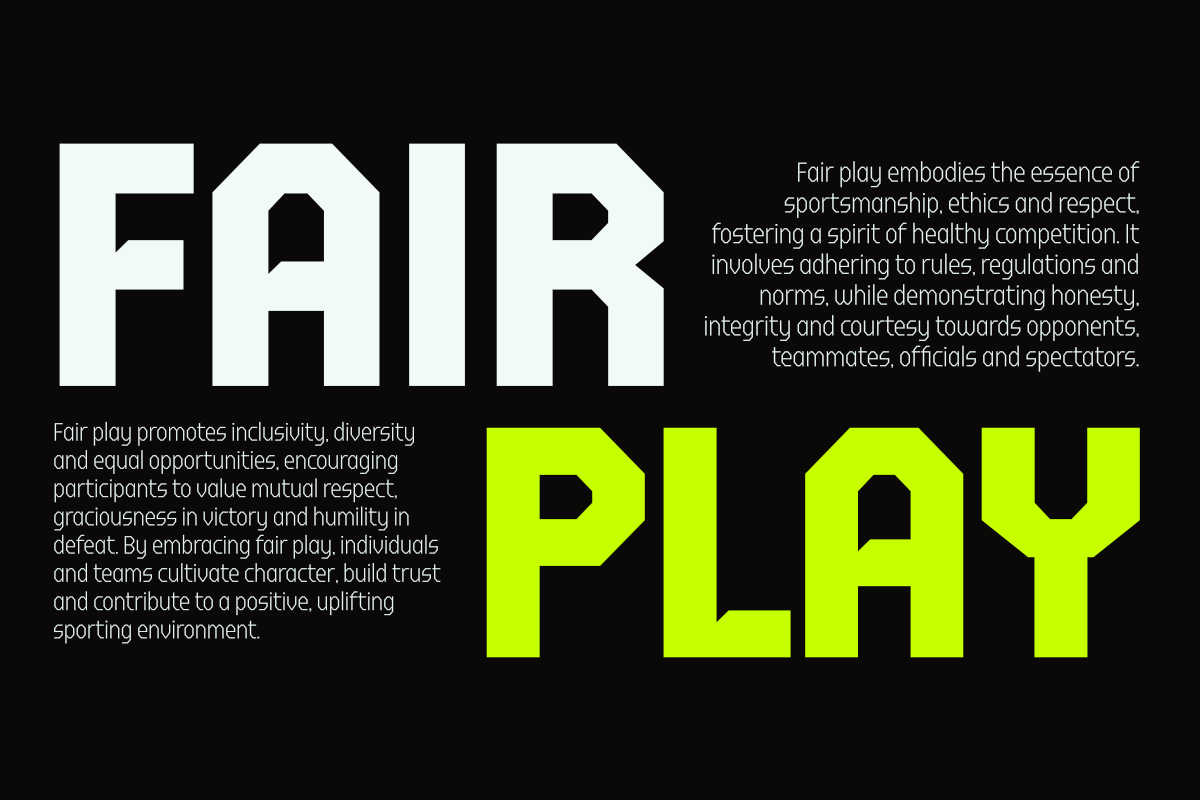 FX Gerundal - Sport Font, a Sans Serif Font by Differentialtype (Photo 11 of 12)