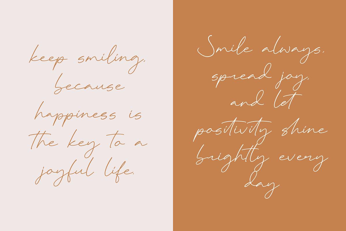 Astral Breakfast, a Script Font by operatype.co (Photo 4 of 15)