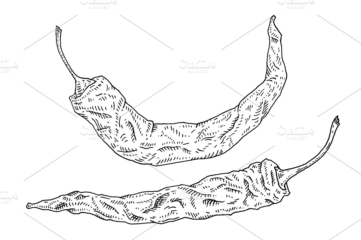 Whole and half dry pepper chilli, a Food Illustration by MoreVector