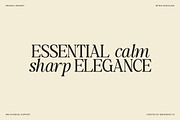 The Snuffle Solstice Nostalgic Serif, a Serif Font by Mahesans Co (Thumbnail 9 of 13)