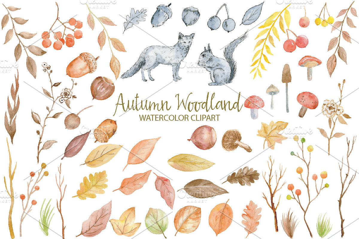 Watercolor Clipart Autumn Woodland, an Illustration by Corner Croft (Photo 2 of 3)