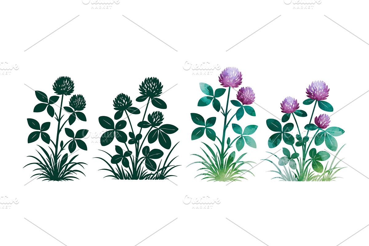 Clover set. St. Patrick's Day, an Object Illustration by Nenahliadava Design