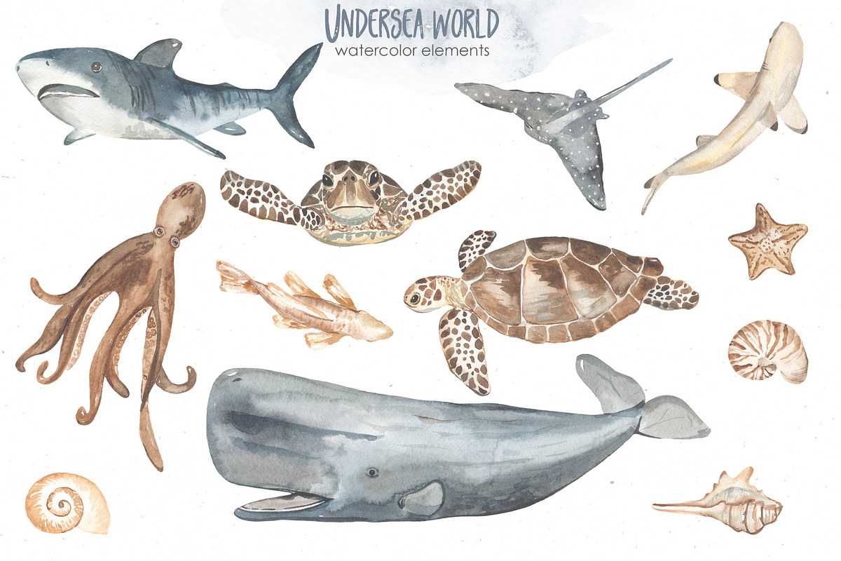 Undersea world Watercolor Part II, an Animal Illustration by Marina Ermakova (Photo 4 of 13)
