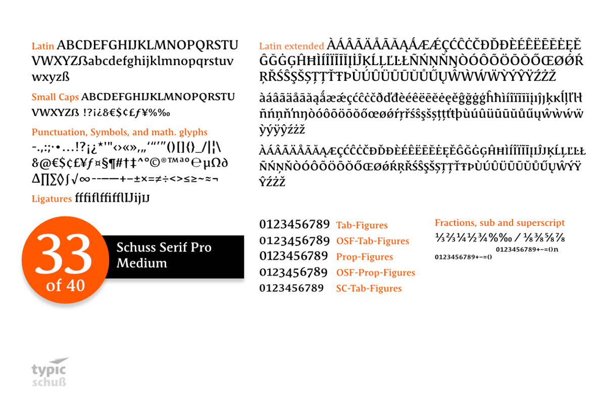 SchussSerifProMedium No.33 (1 Font) preview 3