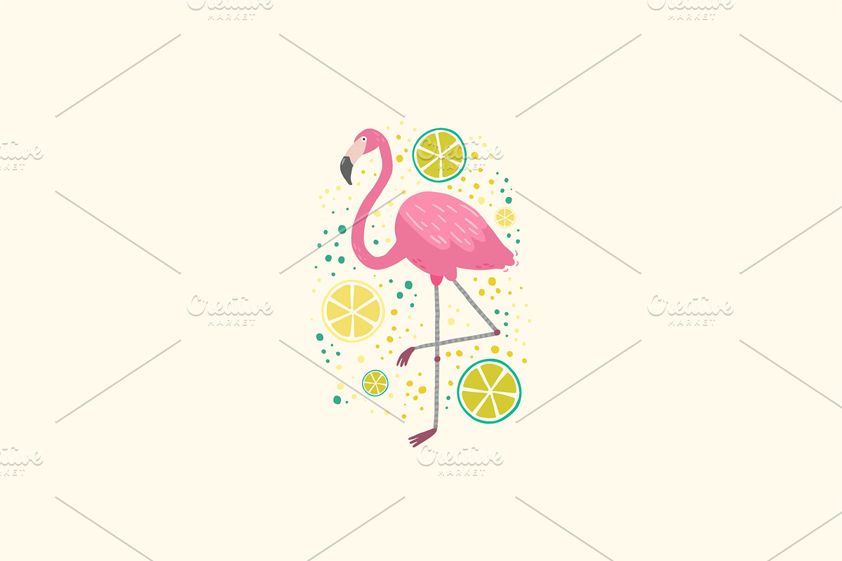 Vector summer set, an Animal Illustration by Kattarina Po (Photo 4 of 5)