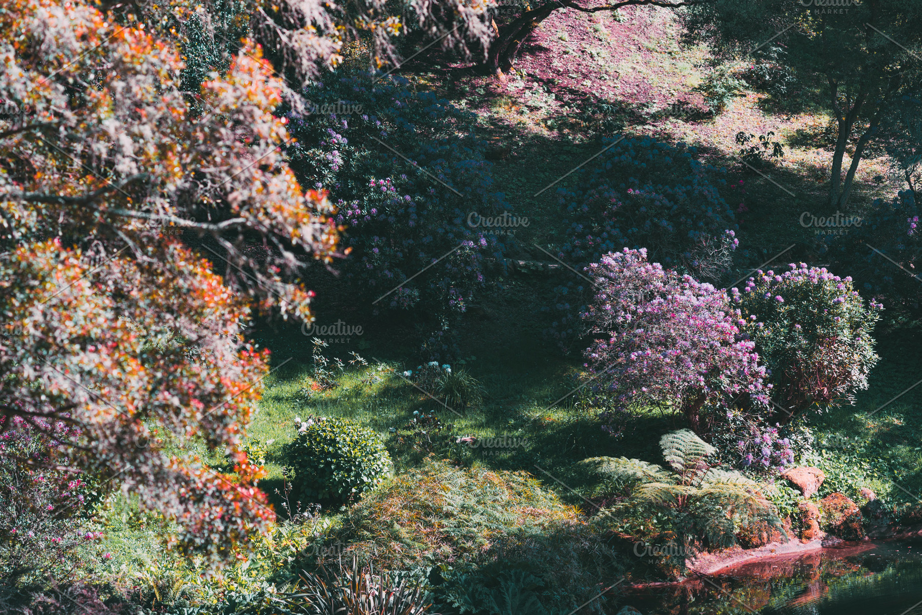 Blooming garden in Sintra sunlight, a Nature Photo by SkyNext