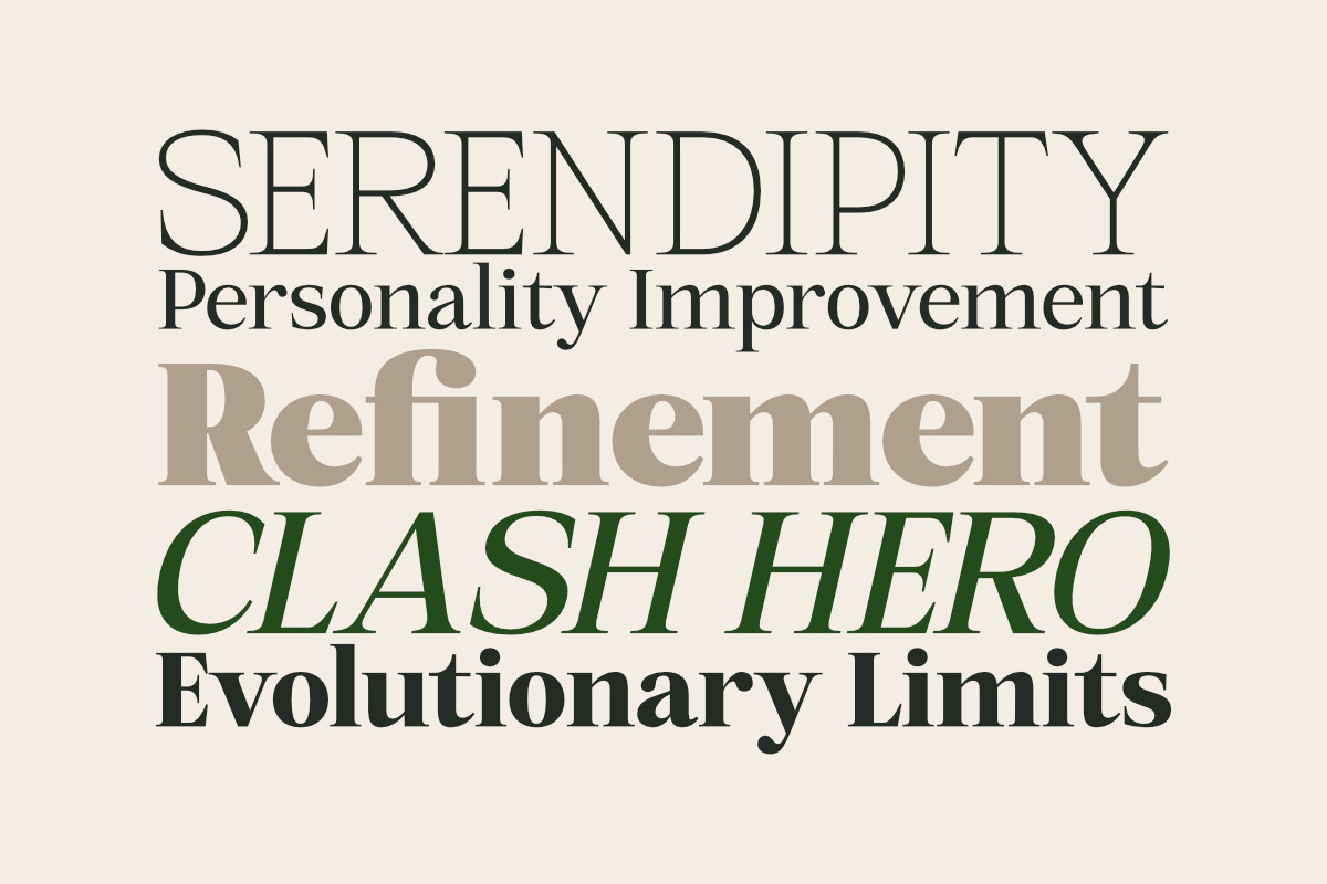 Mount Sagilite – Modern Serif Family, a Serif Font by Afkari Studio (Photo 12 of 12)
