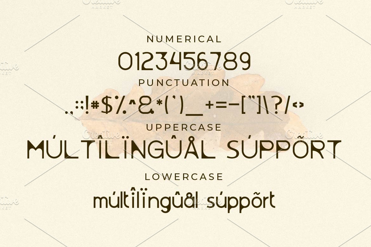 Pelara - Creative Sans Serif Font, a Sans Serif Font by Artiveko (Photo 3 of 4)