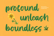 Solitude Mindful - Bold Brush Font, a Script Font by Letterena Studios Script (Thumbnail 14 of 20)