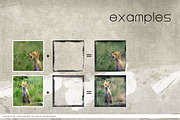 Textured Borders, a Texture Graphic by CarlyArtDaily (Thumbnail 3 of 3)