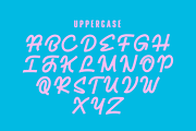 Nansi, a Script Font by ethylene.creative (Thumbnail 3 of 9)