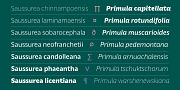 Hua, a Sans Serif Font by YXType (Thumbnail 4 of 10)