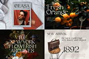 Modern Luxury Serif Font Bundle Vol1, a Serif Font by Ronny Studio (Thumbnail 8 of 9)