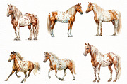 Spring Horse Clipart, an Illustration by Designworld (Thumbnail 5 of 7)