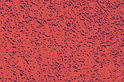 GSTC - Metal textures, a Texture Graphic by The Shop (Thumbnail 82 of 89)