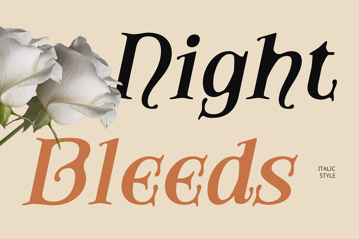 CS Amoret Drawn, a Serif Font by Craft Supply Co. (Photo 3 of 8)