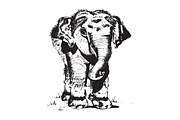 Elephant Hand Drawn Illustration, an Animal Illustration by cvcreative (Thumbnail 2 of 3)