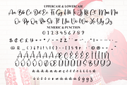 Delight Santa | Script Font, a Handwritten Font by Scratchones (Thumbnail 7 of 9)