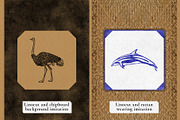 Colonial style Animals posters, an Animal Illustration by Garden in frame (Thumbnail 10 of 11)