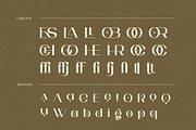 Loreda, a Serif Font by Ardyanatypes (Thumbnail 10 of 12)