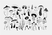 Mushrooms. collection, a Decorative Illustration by Merfin (Thumbnail 2 of 6)
