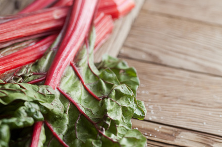 Red Chard Leaf preview 5