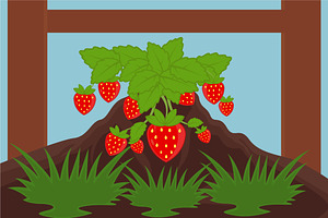 strawberry farming landscaped vector, a Food Illustration by zyxroun shop