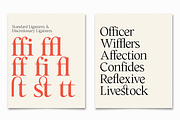 Cita Pro Serif Family, a Serif Font by xdCreative (Thumbnail 2 of 10)