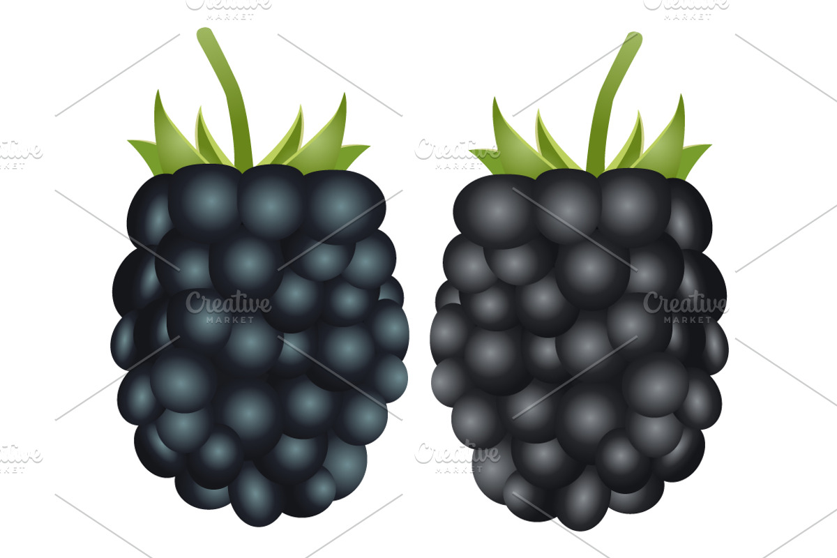 Fruits and vegetables (vector), an Object Graphic by pashigorov (Photo 7 of 8)