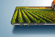 Digital or online farming concept, a Food Illustration by Nomad (Thumbnail 2 of 4)