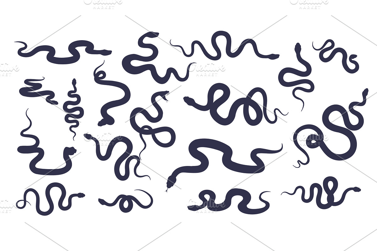 Set of snake silhouettes. Wild, an Animal Illustration by YummyBuum