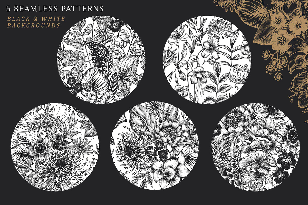 Day and Night. Vector Floral Set, a Pattern Graphic by Molly art (Photo 10 of 14)