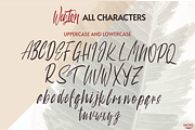 Weyton Script, a Script Font by Inspiratype (Thumbnail 5 of 5)
