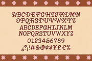 COZY CORE | SWEET COZY FONT, a Serif Font by Maria Feliz Fonts (Thumbnail 9 of 9)