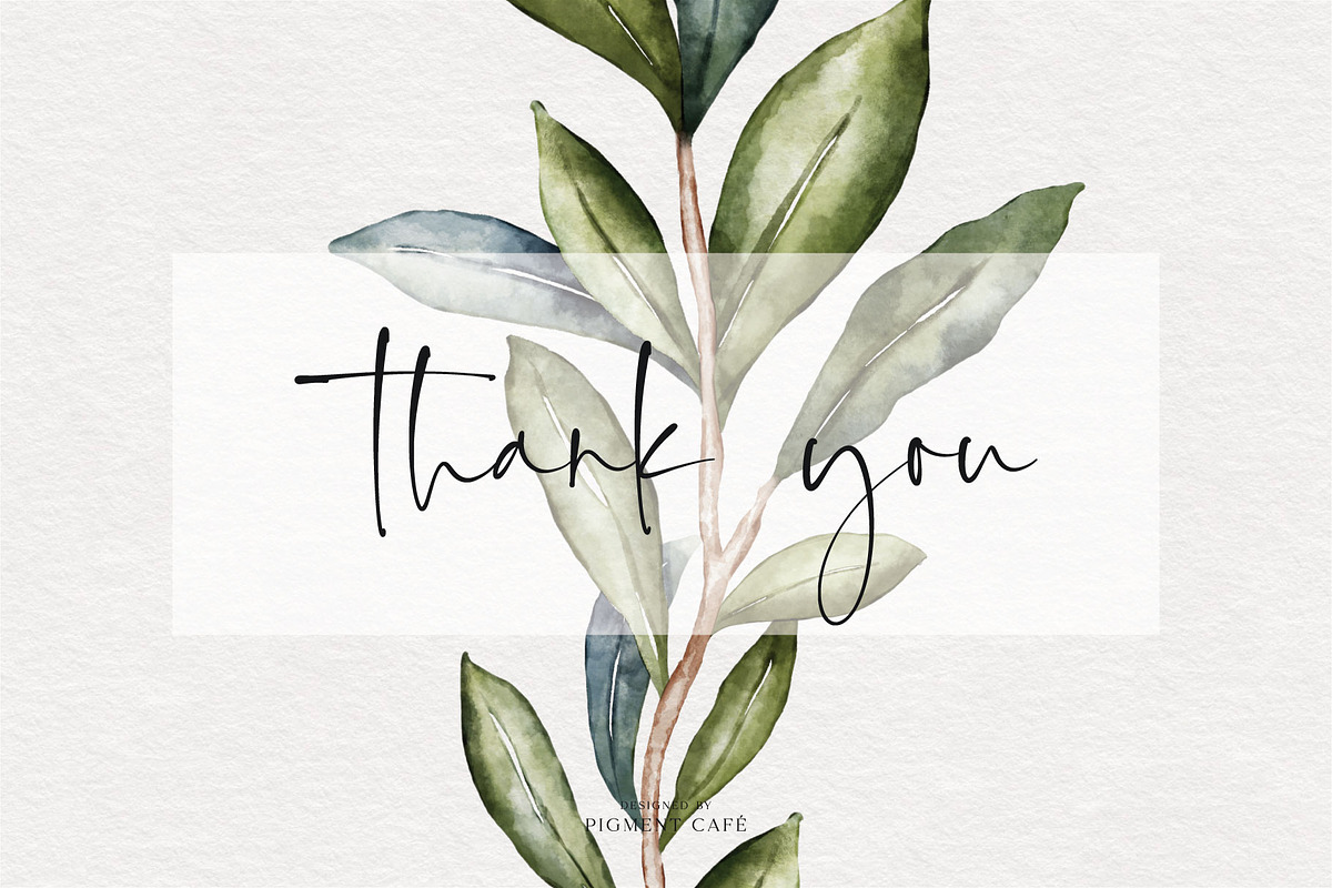 Watercolor Olive Branches & Wreaths, a Decorative Illustration by Pigment Café (Photo 8 of 8)
