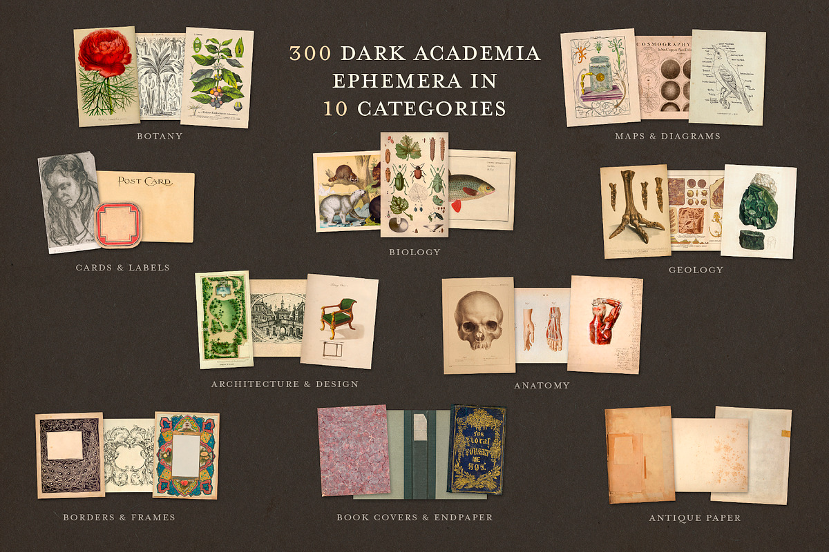 BUNDLE: 600 Academia Ephemera, an Object Graphic by The Object Atlas (Photo 5 of 16)
