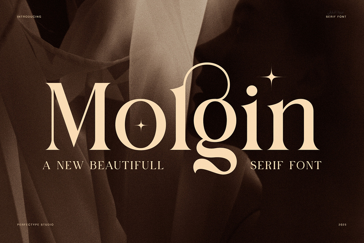 Molgin Elegant Serif Font, a Serif Font by Perfectype (Photo 1 of 8)