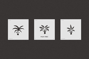 Hand Drawn Palm Tree Logotypes