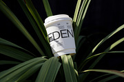 FORMAT EDEN ECO CUP 01, an Advertising Mockup by Format Mockups (Thumbnail 1 of 3)