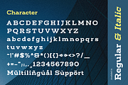 Bidamo - Slab Serif Font, a Slab Serif Font by Sronstudio (Thumbnail 14 of 14)