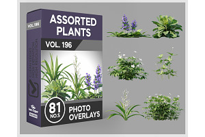 81 Assorted Plants Photo Overlays