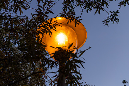 Orange beautiful street lighting lan, a Nature Photo by Illustrations&photos