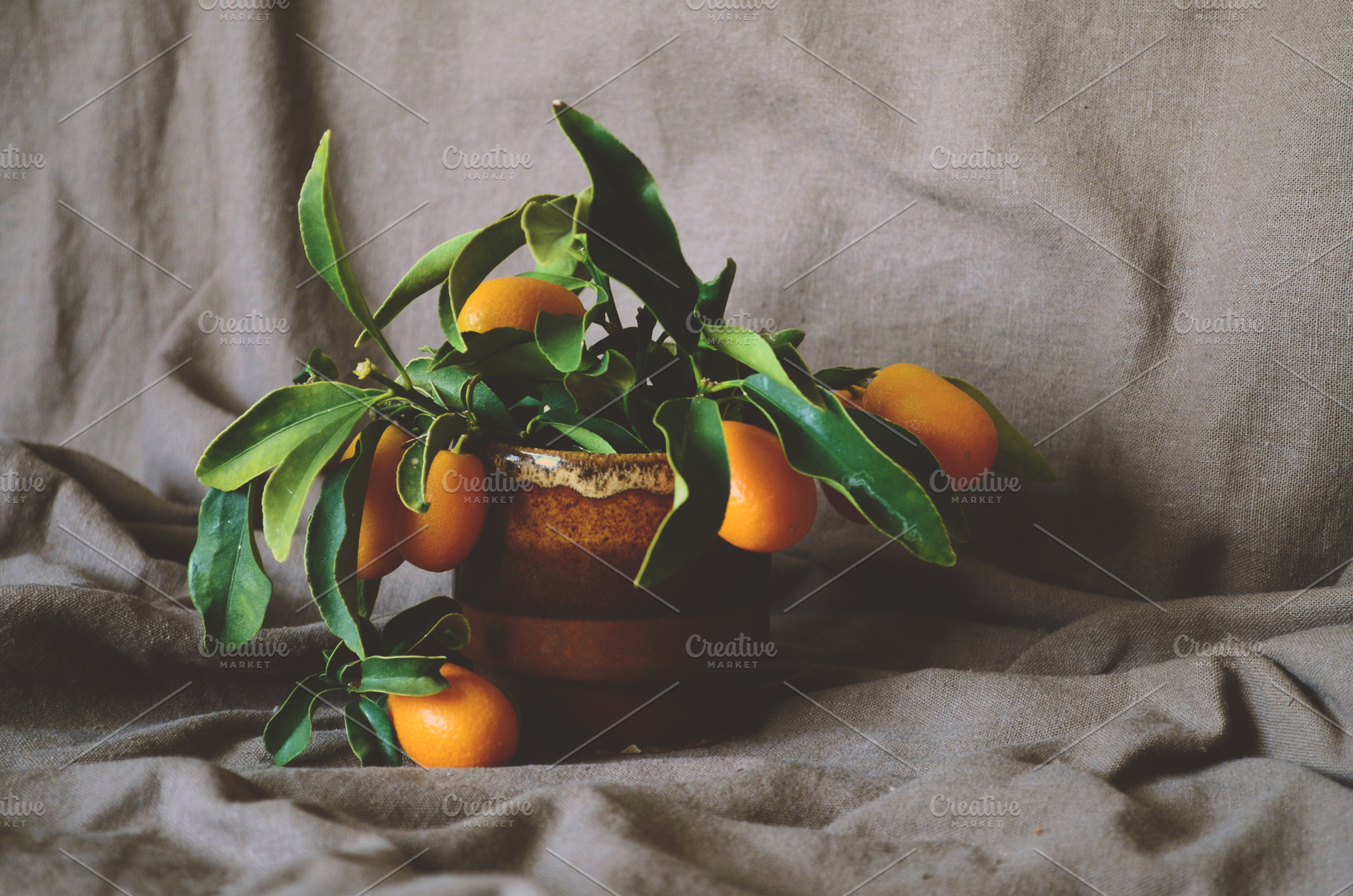 Still life with orange containing still life, art, and still life flowers, a Nature Photo by Uminoki