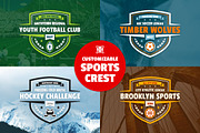 Sports Crest Badge Graphic, a Branding & Logo Template by Ember Studio (Thumbnail 1 of 3)